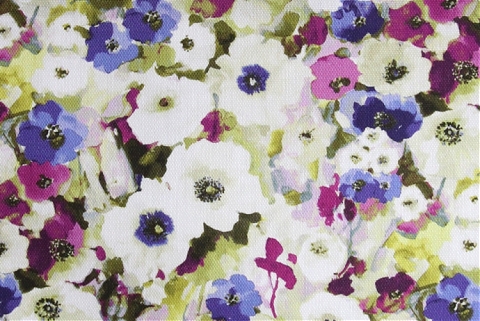 Cotonello Monet C 21